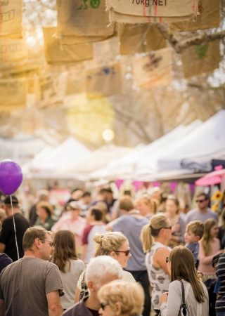 maitland_aroma_722433 maitland_aroma_722433