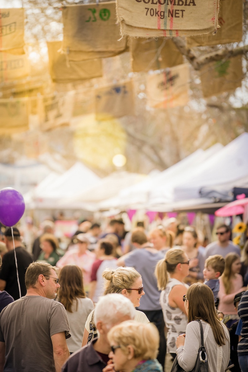 maitland_aroma_722433 maitland_aroma_722433