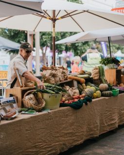 Medium resolution-Maitland Taste 2019-203 Maitland Taste