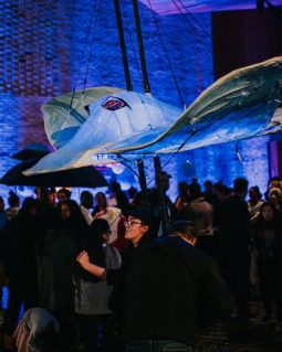 Medium resolution-Riverlights Multicultural Festival 2019-105 Medium resolution-Riverlights Multicultural Festival 2019-105